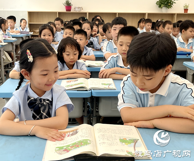 幼小攜手共成長 科學銜接零距離