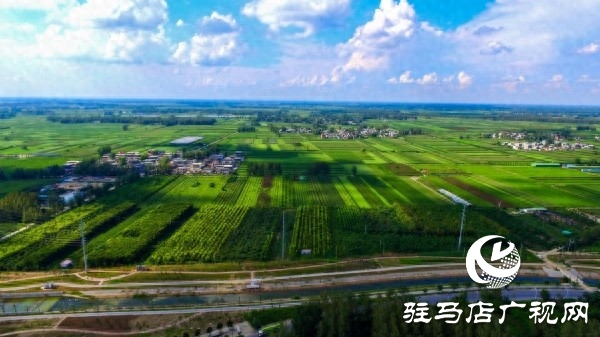 “全國文明城市”平輿縣以創新實踐書寫文明答卷