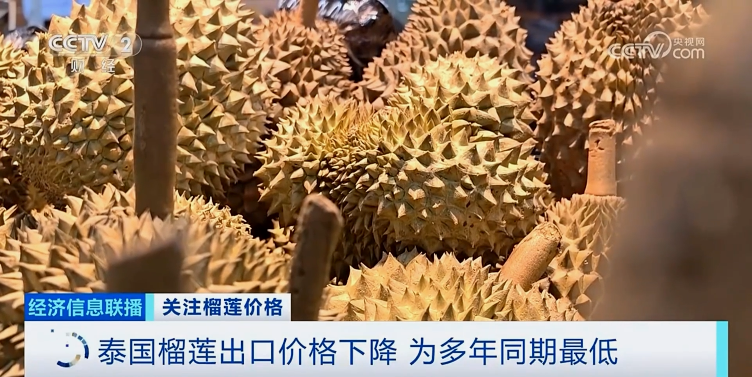 降！降！降！榴蓮多年來最低價的背后是這些原因→