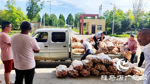 平輿縣政協委員陳小立：愛心捐贈暖人心 彰顯責任與擔當