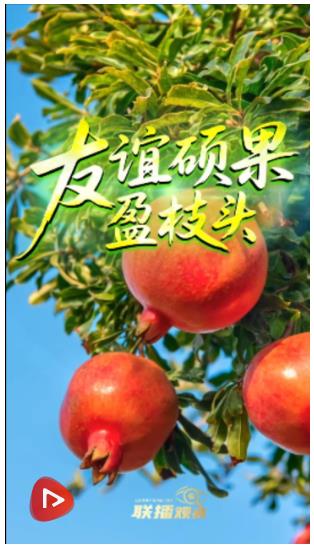聯播+｜友誼碩果盈枝頭