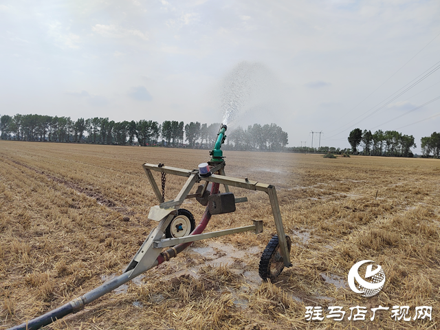 西平縣嫘祖鎮蘭衣趙村：抗旱造墑夏種忙 智慧灌溉護糧安
