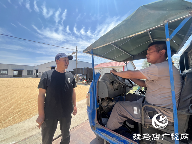 上蔡縣耕夫種植專業合作社：科技助力夏糧收購 顆粒歸倉助農增收