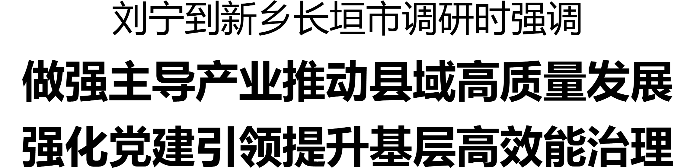劉寧到新鄉長垣市調研產業發展、基層治理等工作