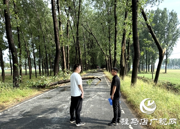 平輿縣：休息日響應“零延遲” 熱線聯動兩小時打通“梗阻路”