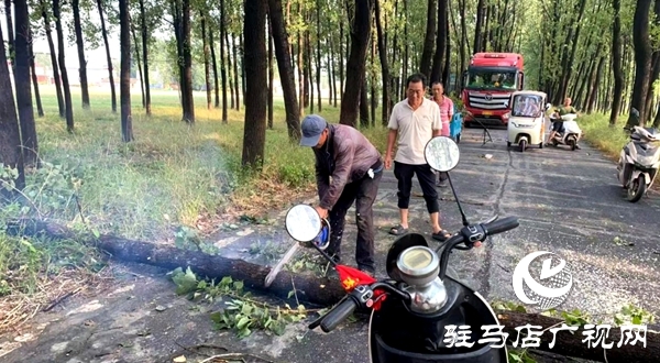 平輿縣：休息日響應“零延遲” 熱線聯動兩小時打通“梗阻路”