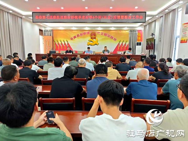 平輿縣射橋鎮：召開縣委第七巡察組巡察單老村等4個村（社區）反饋暨整改工作會