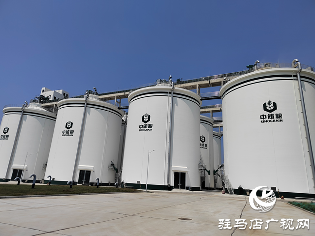 中央儲備糧駐馬店直屬庫：全力以赴打贏夏糧收購攻堅戰 讓每粒麥子安心入倉