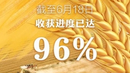 全國夏糧小麥大規模機收基本結束