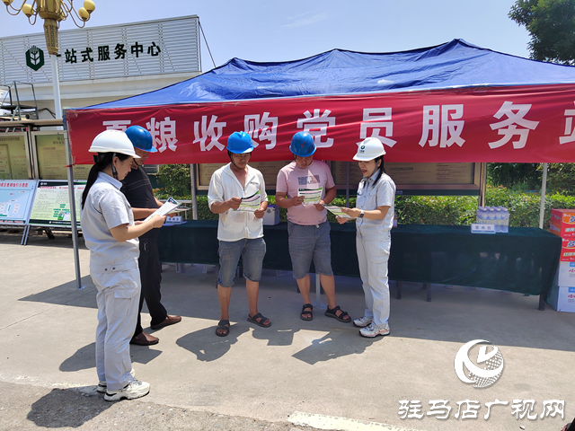 中央儲備糧駐馬店直屬庫：全力以赴打贏夏糧收購攻堅戰 讓每粒麥子安心入倉