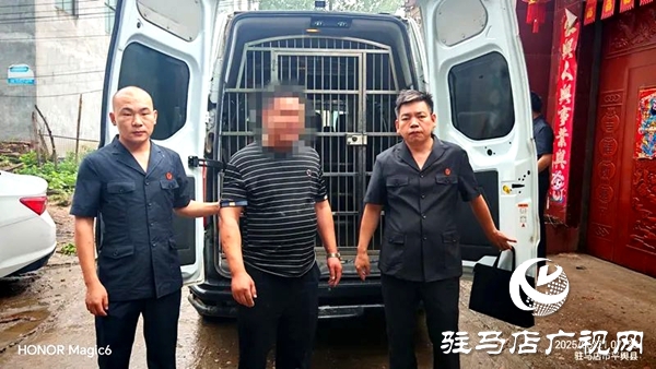 平輿縣人民法院：風雨無阻，清晨執行突擊再發力