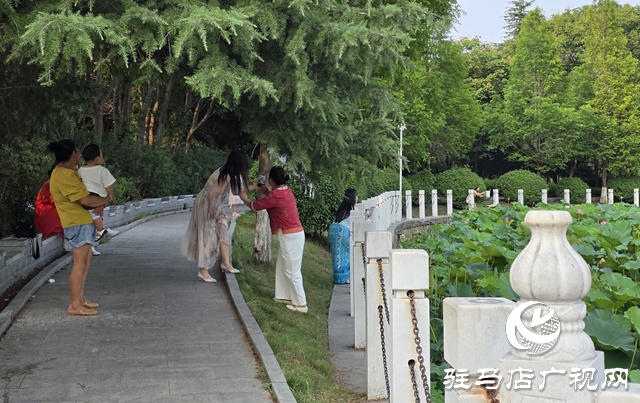 避暑首選！練江湖 置地公園為駐馬店市民送清涼