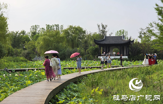 避暑首選！練江湖 置地公園為駐馬店市民送清涼