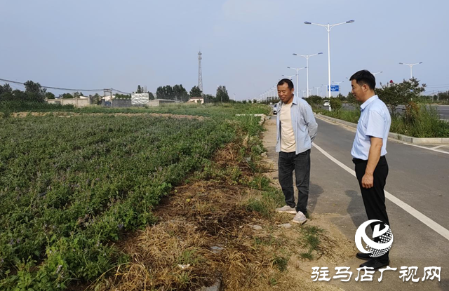 驛城區朱古洞鄉：特色種養殖產業激活鄉村振興“新引擎”