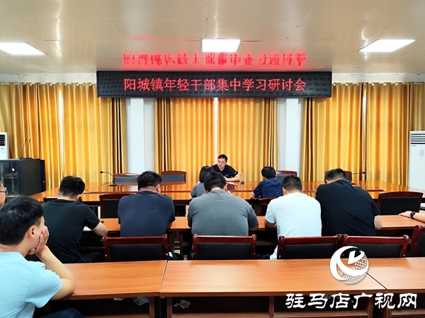 平輿縣陽城鎮召開年輕干部集中學習研討會