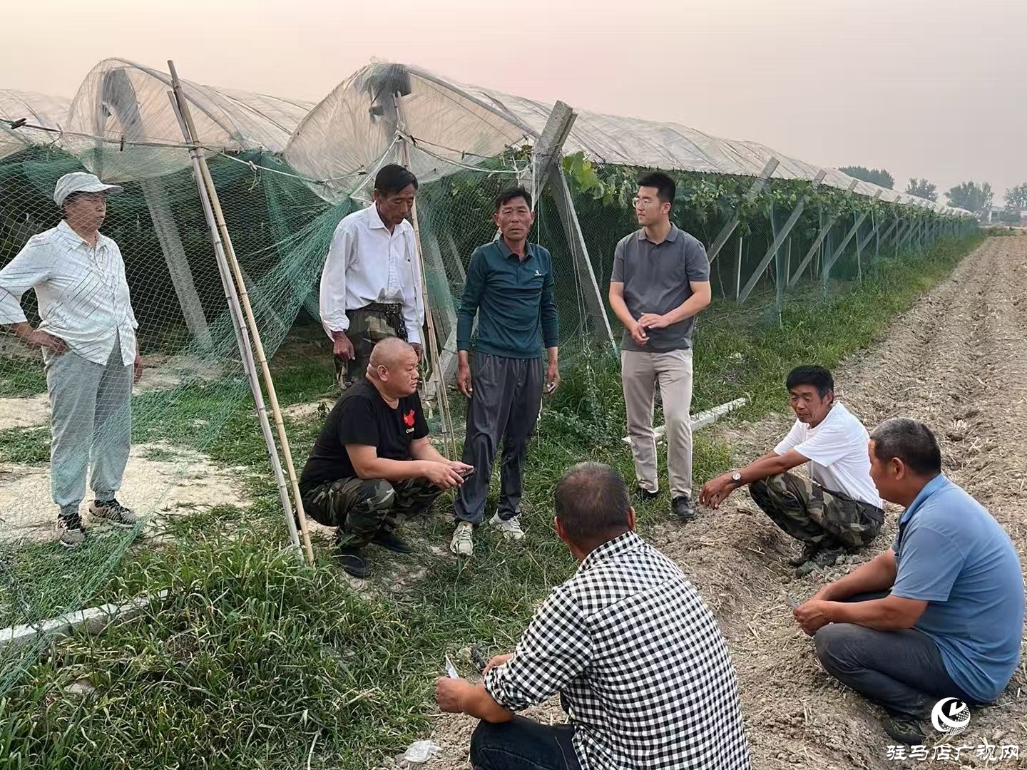 正陽縣寒凍鎮:開通服務群眾熱線 打通基層治理最后一米