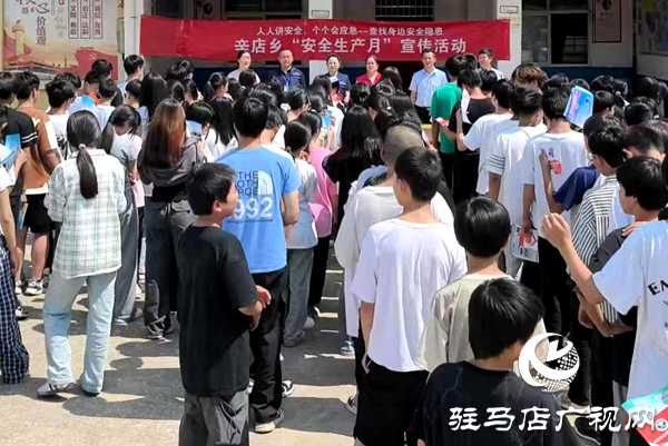 平輿縣辛店鄉：“安全種子”播校園，“隱患掃描”進企業