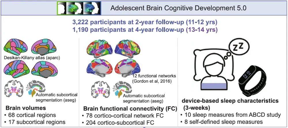 少睡一刻鐘，腦子變“懵懂”？勸你早睡的科學依據來了
