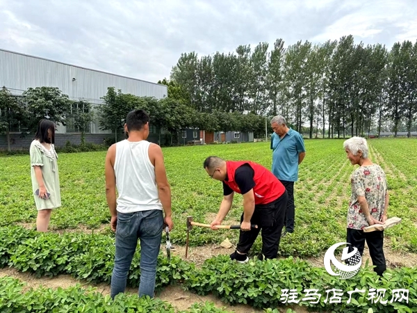 平輿縣李屯鎮司法所：巧解土地糾紛“千千結”繪就鄉村和諧新畫卷