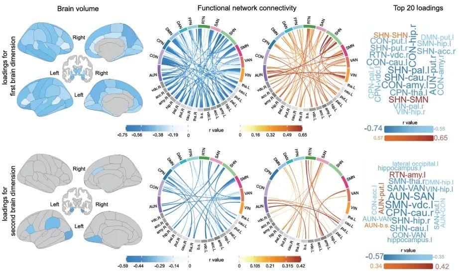 少睡一刻鐘，腦子變“懵懂”？勸你早睡的科學依據來了