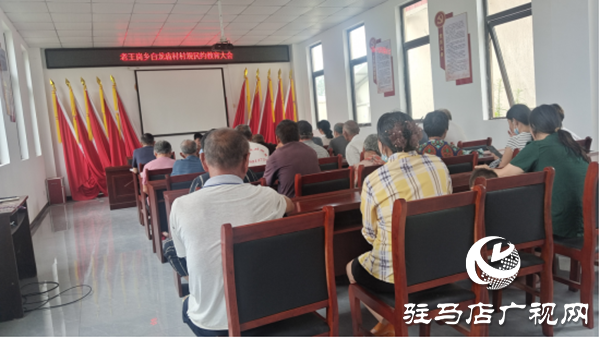 平輿縣老王崗鄉： 踐行村規民約 弘揚文明新風