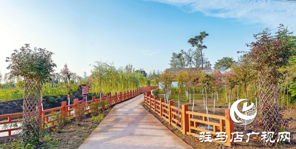 正陽新彭橋鄉大劉村：生態文明建設 構筑美麗鄉村