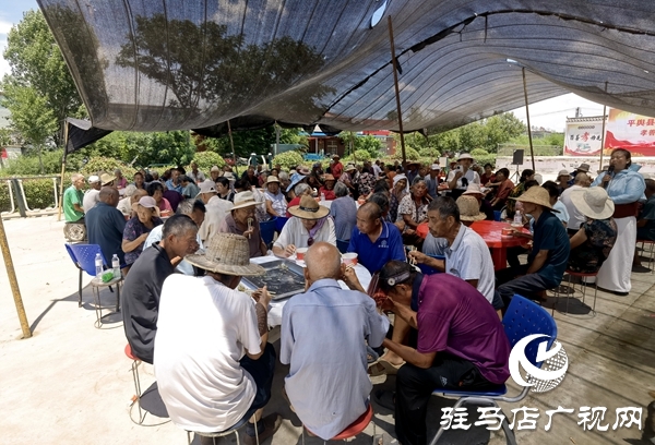 平輿縣萬金店鎮土店村：“七一”系列活動獻禮建黨節，孝善文化潤鄉土
