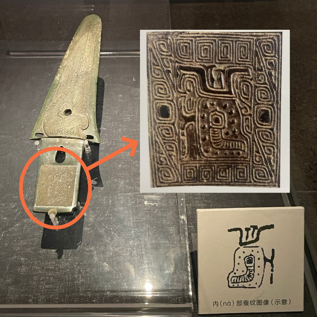 青銅戈上刻蠶紋 這是古蜀人種桑養蠶的實證
