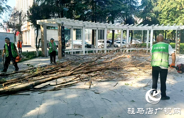 駐馬店經濟開發區：伐除枯木“煥新顏”市民游園更“安心”