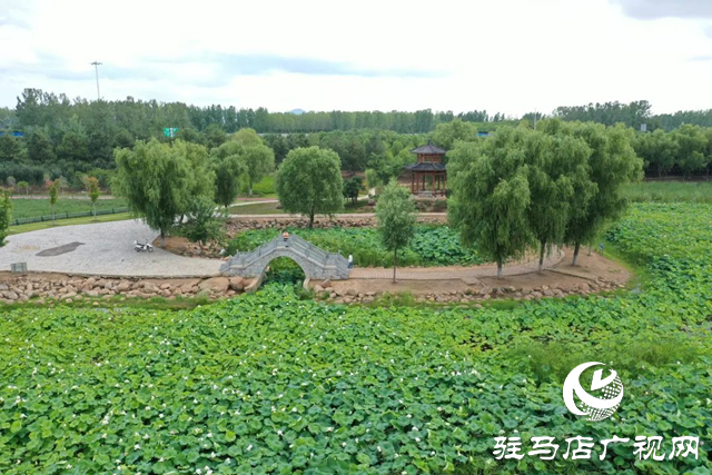 【大美天中】泌陽現“水晶天”！漢風古韻與湖光云影同框