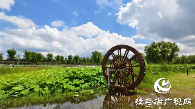 【大美天中】泌陽現“水晶天”！漢風古韻與湖光云影同框