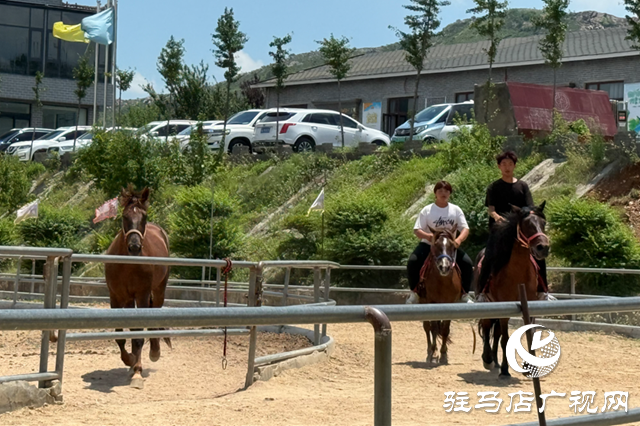 確山樂山驛站：串聯周邊旅游資源 打造馬術+文旅新樣本