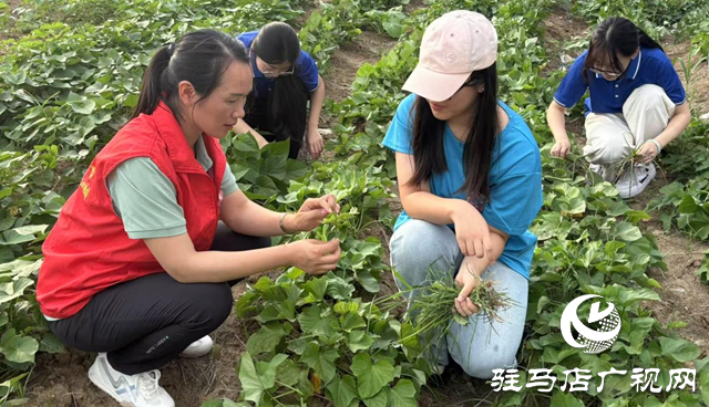 黃淮學院：以科創之力服務兩高四著力戰略 書寫新時代青春答卷