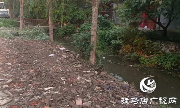  西平縣柏城街道開展溝渠清理專項行動 打造生態水美新柏城