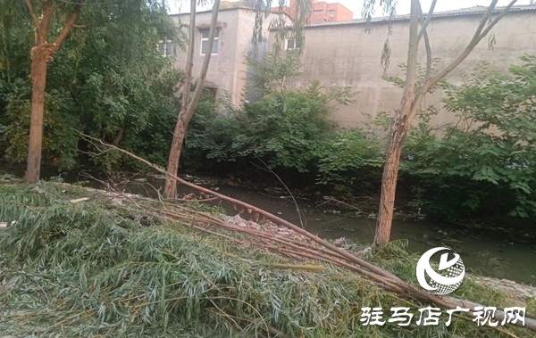  西平縣柏城街道開展溝渠清理專項行動 打造生態水美新柏城