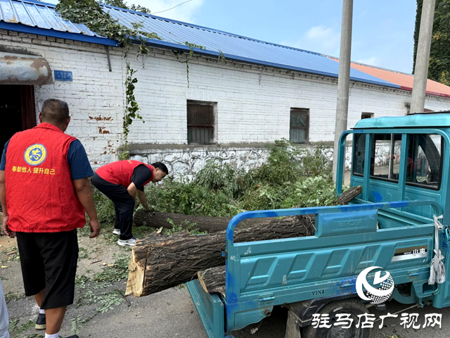 確山縣盤龍街道：砍除“危樹”除隱患 社區出手解民憂