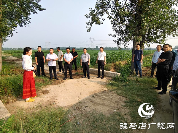 平輿縣李屯鎮：溝渠連通惠民生 “三園”建設促發展