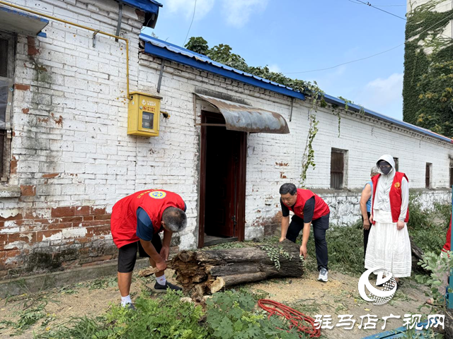 確山縣盤龍街道：砍除“危樹”除隱患 社區出手解民憂