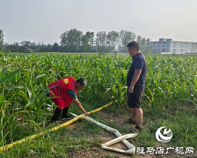 驛城區關王廟鄉：抗旱保秋 全力守護“糧袋子”