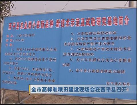 六件惠民實事順利實施 極大改善市民工作生活環境