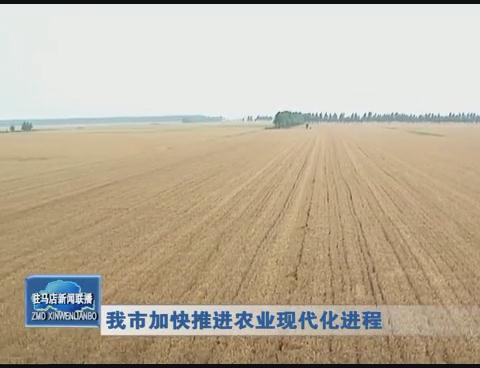 我市加快推進農業現代化進程