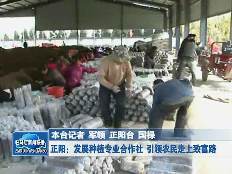 發展種植專業合作社 引領農民走上致富路