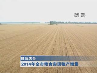 2014年全市糧食實現穩產增量