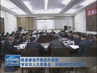 陳星參加平輿代表團審議市人大常委會、法檢兩院工作報