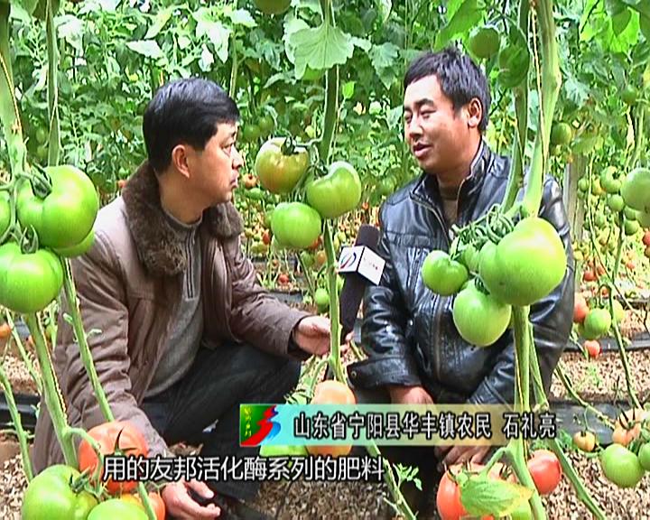 魅力鄉村《113期》
