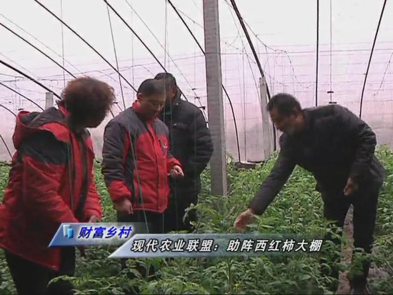 魅力鄉村《119期》