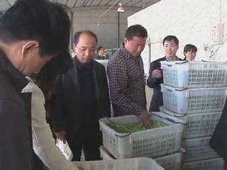 魅力鄉村《130期》