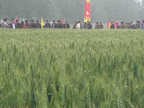魅力鄉村《133期》